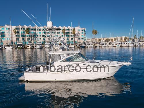 Rampage 38 Express ficha tecnica 